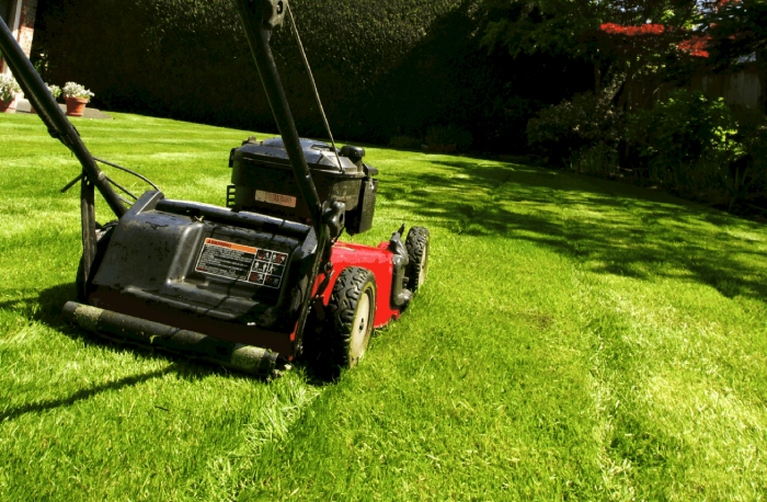 Reliable NDIS Cleaning and Gardening services at home