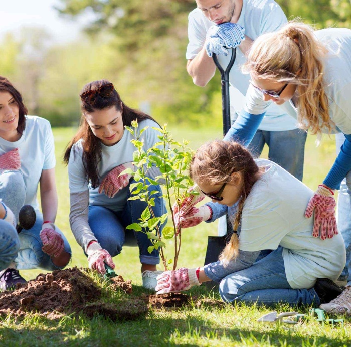 Development Life Skills training for independent daily living